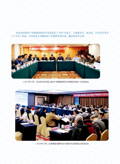 辉煌成就 水产技术推广三十年回顾（第五期）——疫病防控、质量安全与网络技术服务的革新之路